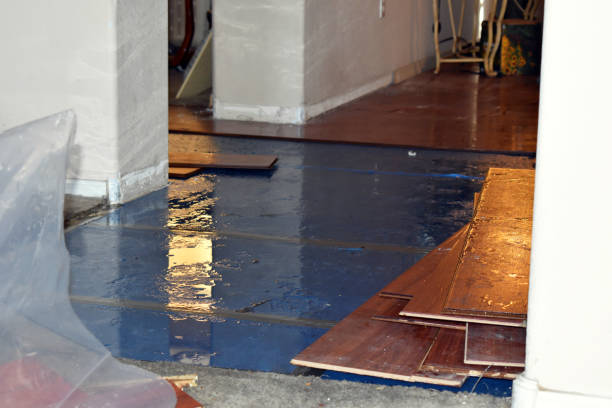 Professional Flood Cleanup technician working in New Harbor, ME